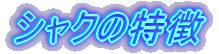 VN̓